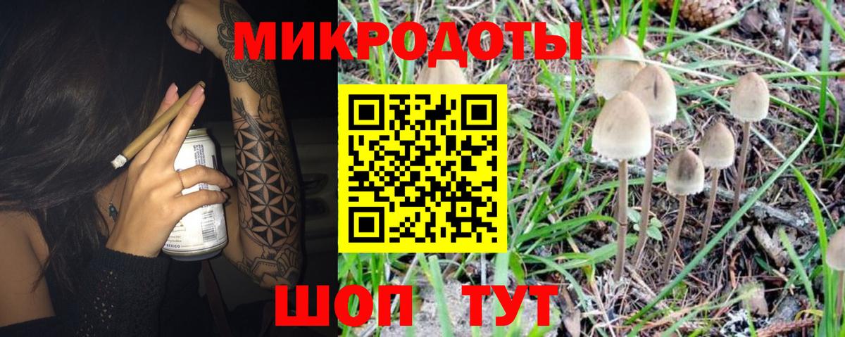 Галлюциногенные грибы Psilocybe Когалым