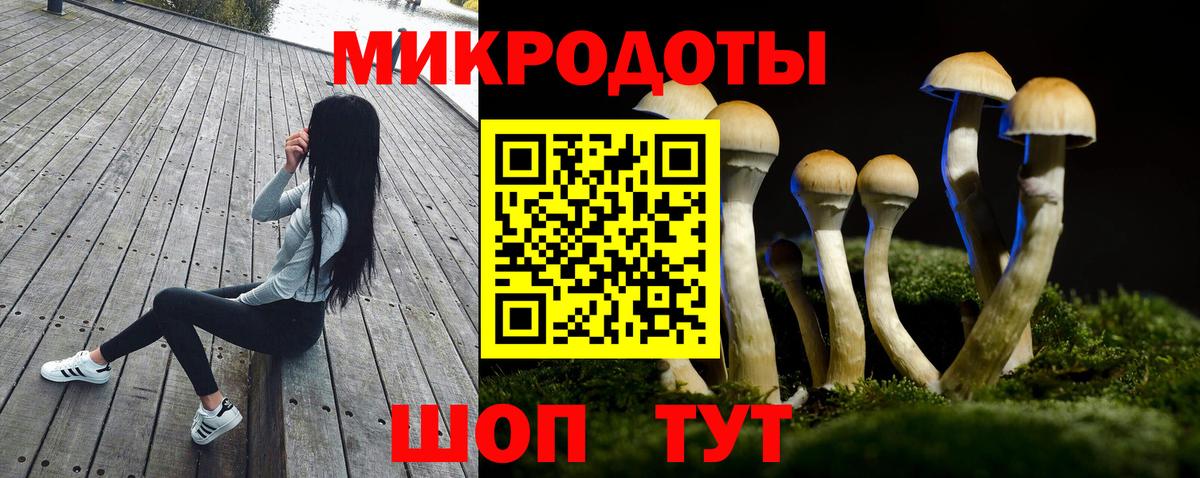 Когалым  Псилоцибиновые грибы Magic Shrooms  Вход с VPN 
